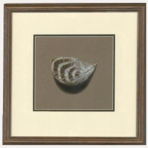 Anne Cherry MA, RCA, SWA (b.1948) - 2000 Watercolour, Featherlight