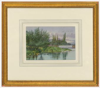 Francis George Coleridge (1838-1923)- Framed Watercolour, Moorhens on the Water