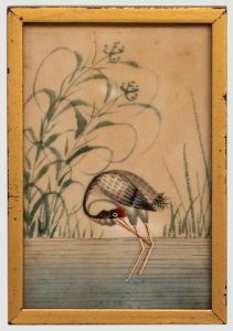 Miniature 19th Century Watercolour - Red-Crowned Crane