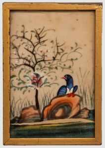 Mininature 19th Century Watercolour - Blue Pigeon