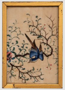 Miniature 19th Century Watercolour - Exotic Blue Bird