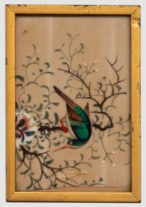 Miniature 19th Century Watercolour - Exotic Green Bird