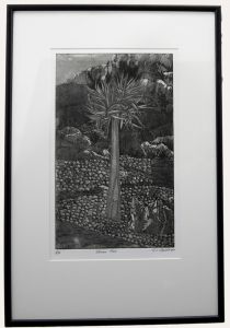 G. C. Goldman - Framed Contemporary Aquatint, Quiver Tree