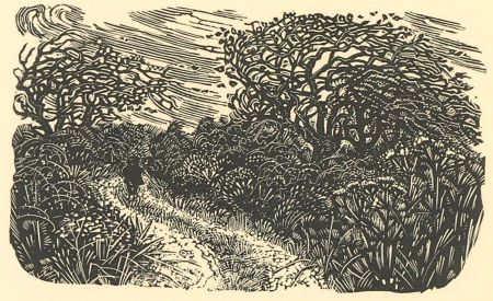 Miriam MacGregor (b.1935) - 20th Century Woodcut, A Wandering Boy