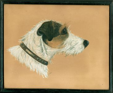 D. Law - 20th Century Watercolour, Jack Russell