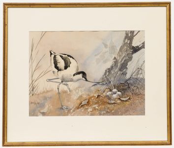 Brian Needham - 20th Century Watercolour, The Wader Nest