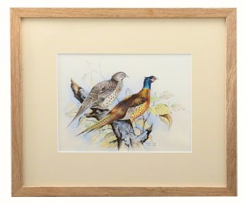 Bryan Cox - Framed 20th Century Watercolour, Pheasants Roosting in a Tree