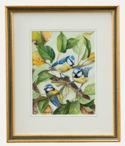 John Dryburgh - 2005 Watercolour, Bluetits