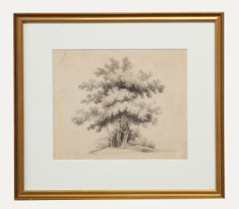 R. Cumming - Early 19th Century Ink Drawing, Trees in a Field at Camberwell