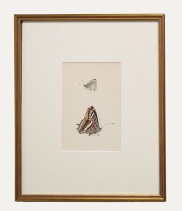 20th Century Watercolour - Butterflies VII