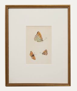 20th Century Watercolour - Butterflies VI