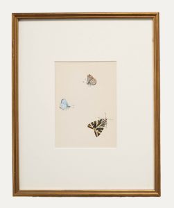 20th Century Watercolour - Butterflies I