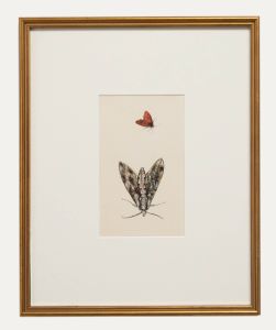 20th Century Watercolour - Butterflies II