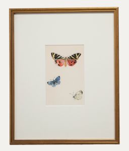 20th Century Watercolour - Butterflies V