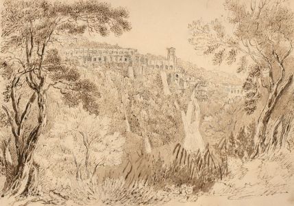 1825 Pen and Ink Drawing - Olive Wood View