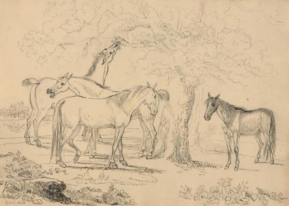 1825 Pen and Ink Drawing - Horses at Rest Beneath a Tree