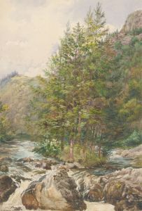 L. Drayton - 19th Century Watercolour, River Pines