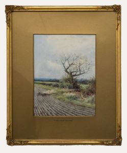 Alexander Molyneux Stannard (1878-1975)- Framed Watercolour, An Autumn Hedgerow