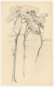 Attrib. John Cluysenaar (1899-1986) - Graphite Drawing, Study of Scots Pine 