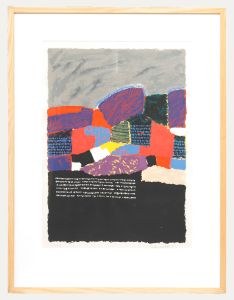 Saduo Kahili - 20th Century Silkscreen, Patchwork Fields