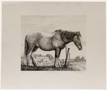 Simon Bull - 20th Century Etching, The Old Horse