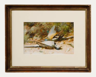 William Cruikshank (1848-1922) - 19th Century Watercolour, Yellow Wagtails