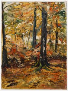 M. Steurs - Contemporary Oil, Autumn Forest