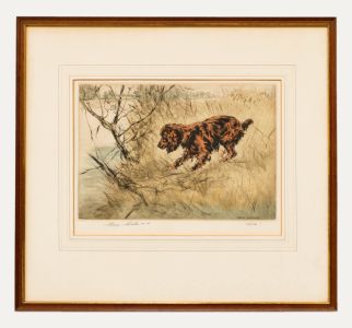 Henry Wilkinson RE (1921-2011) - Framed 20th Century Etching, Golden Cocker