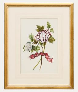 19th Century Watercolour - Parrot Tulip Posy