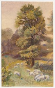 Flora Bush - Early 20th Century Watercolour, Belmont Hill