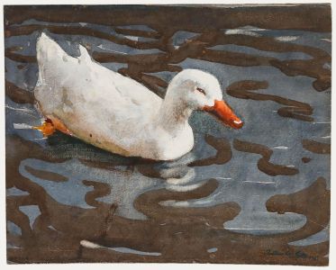 Arthur Wilson Gay (1901-1958) - 1947 Watercolour, Happy Duck