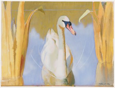 Arthur Wilson Gay (1901-1958) - c.1950 Gouache, Swan