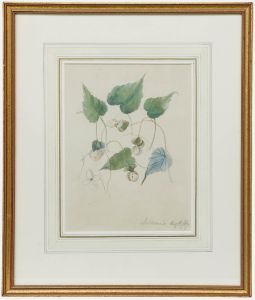 Mid 19th Century Watercolour - Dalhousie II