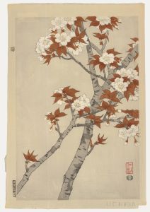 Nisaburo Ito (1910-1988) - Mid 20th Century Japanese Woodblock, Cherry Blossom