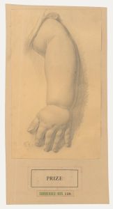 Edward Ridley (1883-1946) - Graphite Drawing, Study of an Infant's Arm