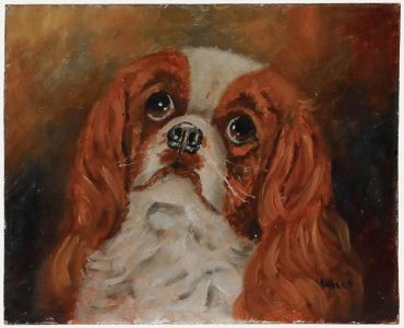 Wills - Mid 20th Century Oil, Puppy Dog Eyes