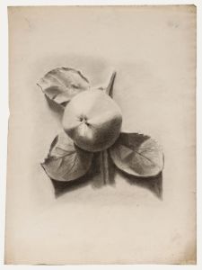 19th Century Graphite Drawing - Study of an Apple