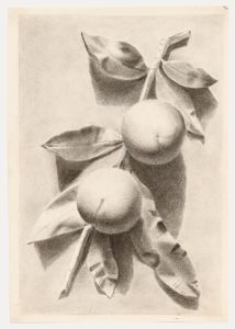 19th Century Graphite Drawing - Peaches