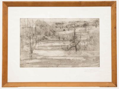 Framed 20th Century Etching - Abstract Pond Study