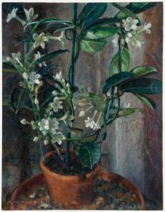 Pauline Plummer (b.1933) - Contemporary Oil, White Nicotiana