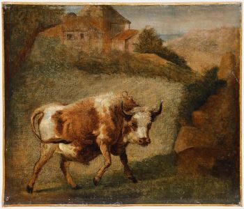 Dutch School 18th Century Oil - Raging Bull