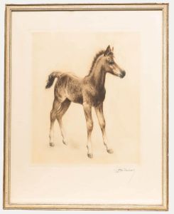 Kurt Meyer-Eberhardt (1895-1977) - Framed Drypoint, The Young Foal