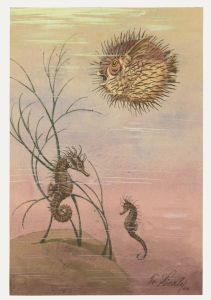 Fr. Siedler - Mid 20th Century Watercolour, Seahorse & Puffer Fish