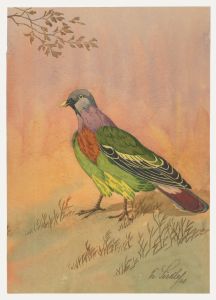Fr. Siedler - Mid 20th Century Watercolour, Pink-Necked Green Pigeon