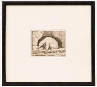 Georges Cuvier (1769-1832) - Early 19th Century Engraving, Polar Bear