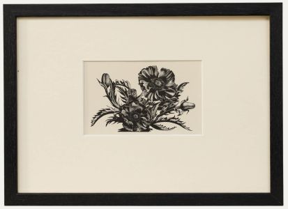 Clare Leighton (1898-1989) - Mid 20th Century Woodcut, Poppies