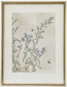Werner von Scheidt (1894-1983) - Mid 20th Century Etching, Viper's Bugloss