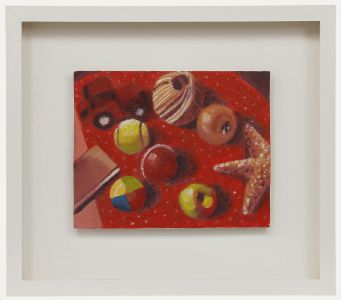 Framed Contemporary Oil - Still Life with Starfish
