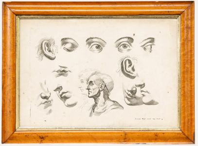 Jeremias Wolff (1667-1724) - 18th Century Engraving, Eye Studies