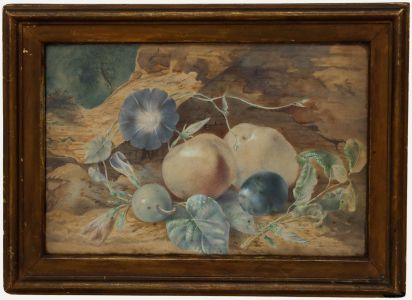 19th Century Watercolour - Study of Fruit No. 2